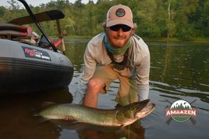 Musky Caught in Apple River, MN